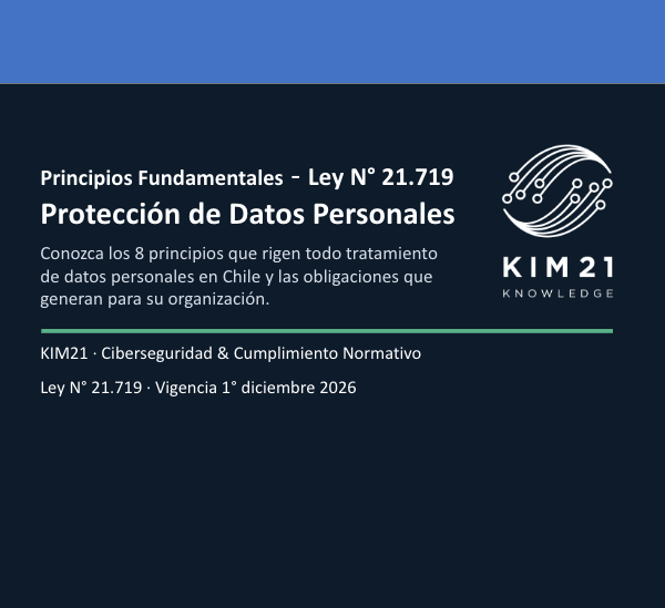 Curso - Principios Fundamentales - Ley Nº 21.719