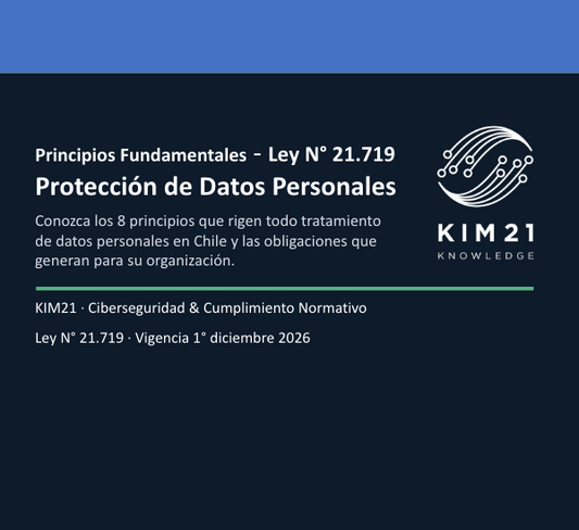 Curso - Principios Fundamentales - Ley Nº 21.719